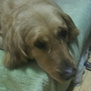 sunu4的个人资料头像