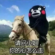 嘿好巧的个人资料头像