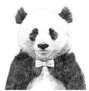 qklin3120的个人资料头像