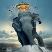 庄北的个人资料头像