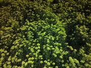 殘宵稀夢的个人资料头像