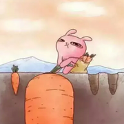 番茄炒蛋很好吃啊的个人资料头像