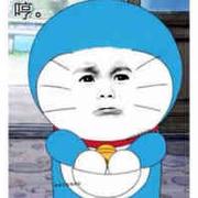 晒太阳的老鼠的个人资料头像