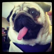 NickWei5677的个人资料头像