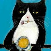 冯轶Developer的个人资料头像