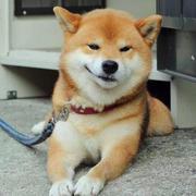 zaygeegee的个人资料头像