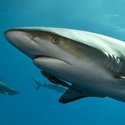 王耀兴的个人资料头像