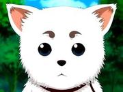 超人886的个人资料头像