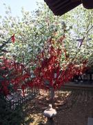 Camel的个人资料头像