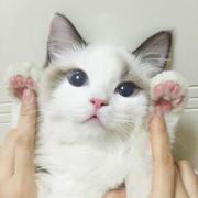 天生爱走神的个人资料头像