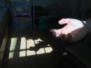 1块钱的个人资料头像