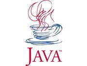 Java团长的个人资料头像