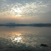 小蛮子路过的个人资料头像