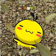 徐星星的个人资料头像