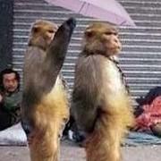 前端队长的个人资料头像