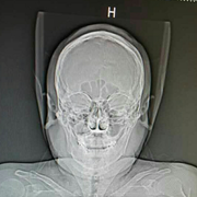 上天的个人资料头像