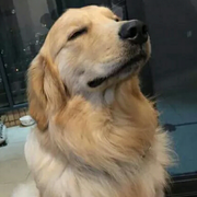 MooreTwoo的个人资料头像