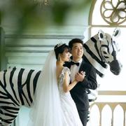 chen_single的个人资料头像