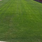 小阿帅的个人资料头像