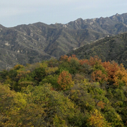 bpbhd的个人资料头像