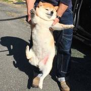 yooo28193的个人资料头像