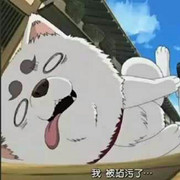 董咚懂咚的个人资料头像