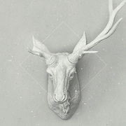 ECAEG的个人资料头像