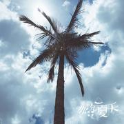 林ccamk的个人资料头像