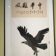 Qing_L翱翔的鹰的个人资料头像