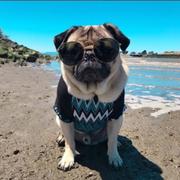 纪辰的个人资料头像