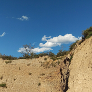江霰的个人资料头像