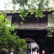 巩小白的个人资料头像