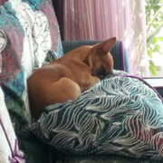 情殇很伤呦的个人资料头像