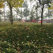 developeriOS的个人资料头像