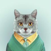 逢凉的个人资料头像