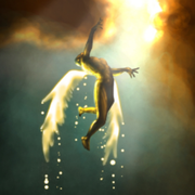 Icarus_Li的个人资料头像