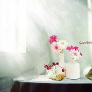 Cocoa纪陌然的个人资料头像