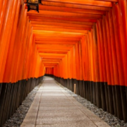 盗跖_行者的个人资料头像