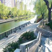 送你一个大西瓜的个人资料头像