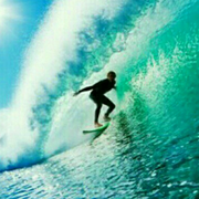 suguohui的个人资料头像