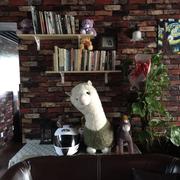 baichuan的个人资料头像