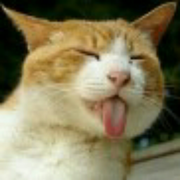 小侠猫猫球的个人资料头像