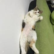 许乐峰的个人资料头像