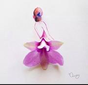 Aili的个人资料头像