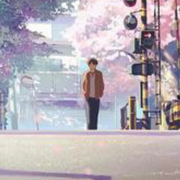 海海的个人资料头像