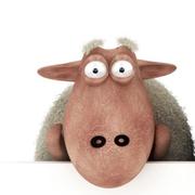 HotDog9237的个人资料头像