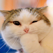 程序员注册了个号的个人资料头像