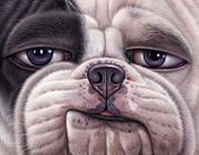 帛帛司机的个人资料头像