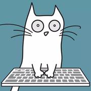 kimom的个人资料头像