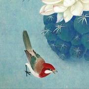 marion的个人资料头像